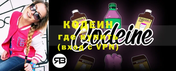 гашик Новодвинск