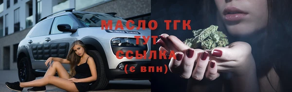 гашик Новодвинск