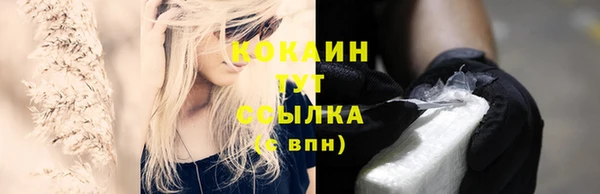 гашик Новодвинск