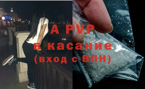 гашик Новодвинск