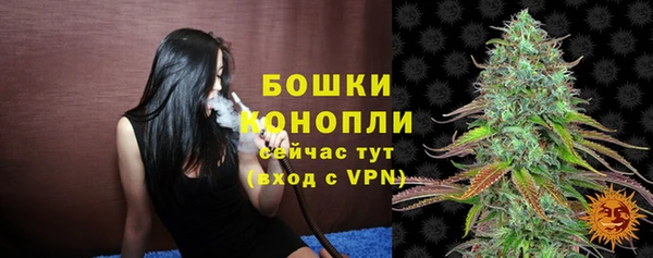 mdpv Новозыбков